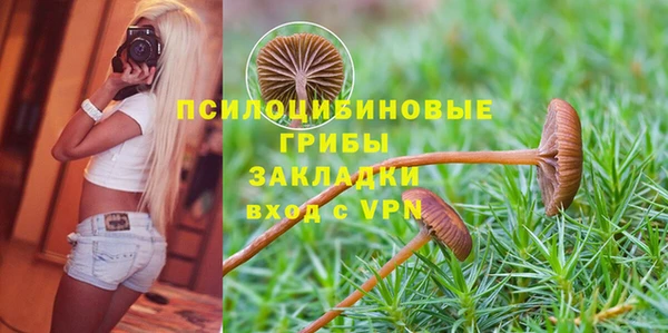 экстази Карпинск