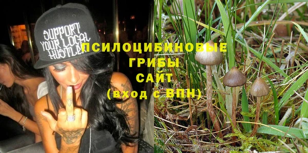 спайс Касимов