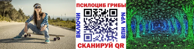 Купить где  Дыгулыбгей  Псилоцибиновые грибы прущие грибы 