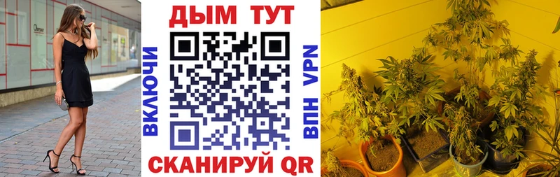 Купить  Дыгулыбгей  МАРИХУАНА Ganja 